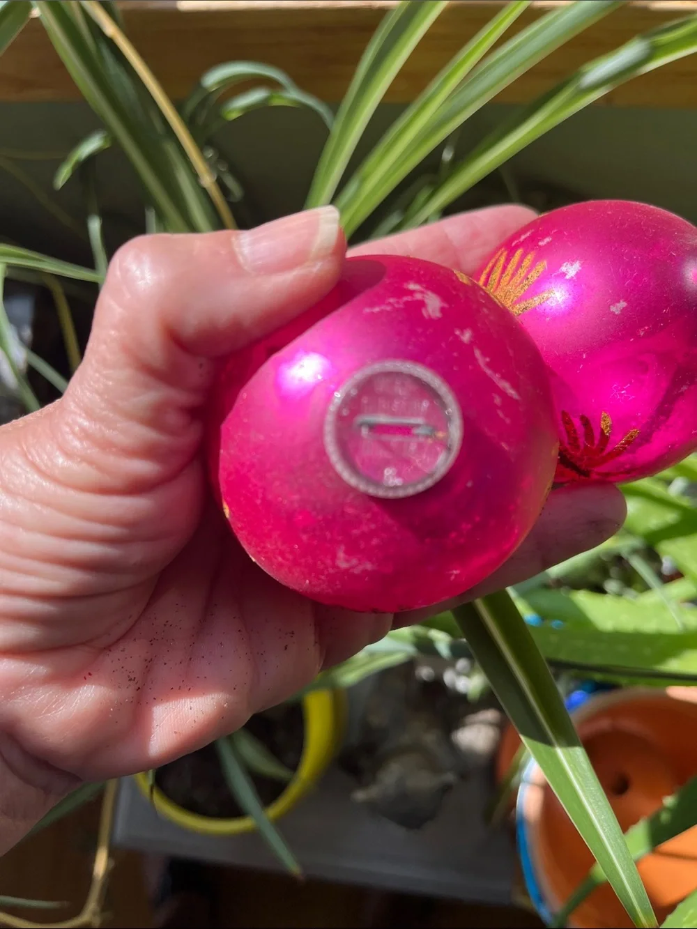 2 Vtg Hot Pink Blown Glass Ornaments Gold Mica Startbursts West Germany *READ*